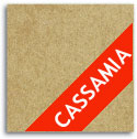 Cassamia
